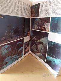 Enciclopedia della fotografia