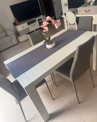 Tavolo e sedie calligaris