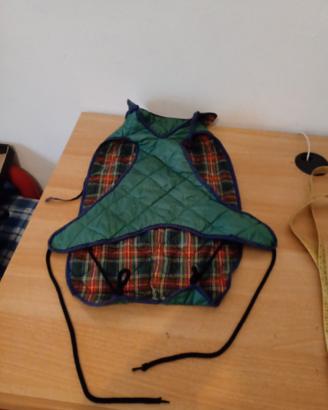 cappottino cane