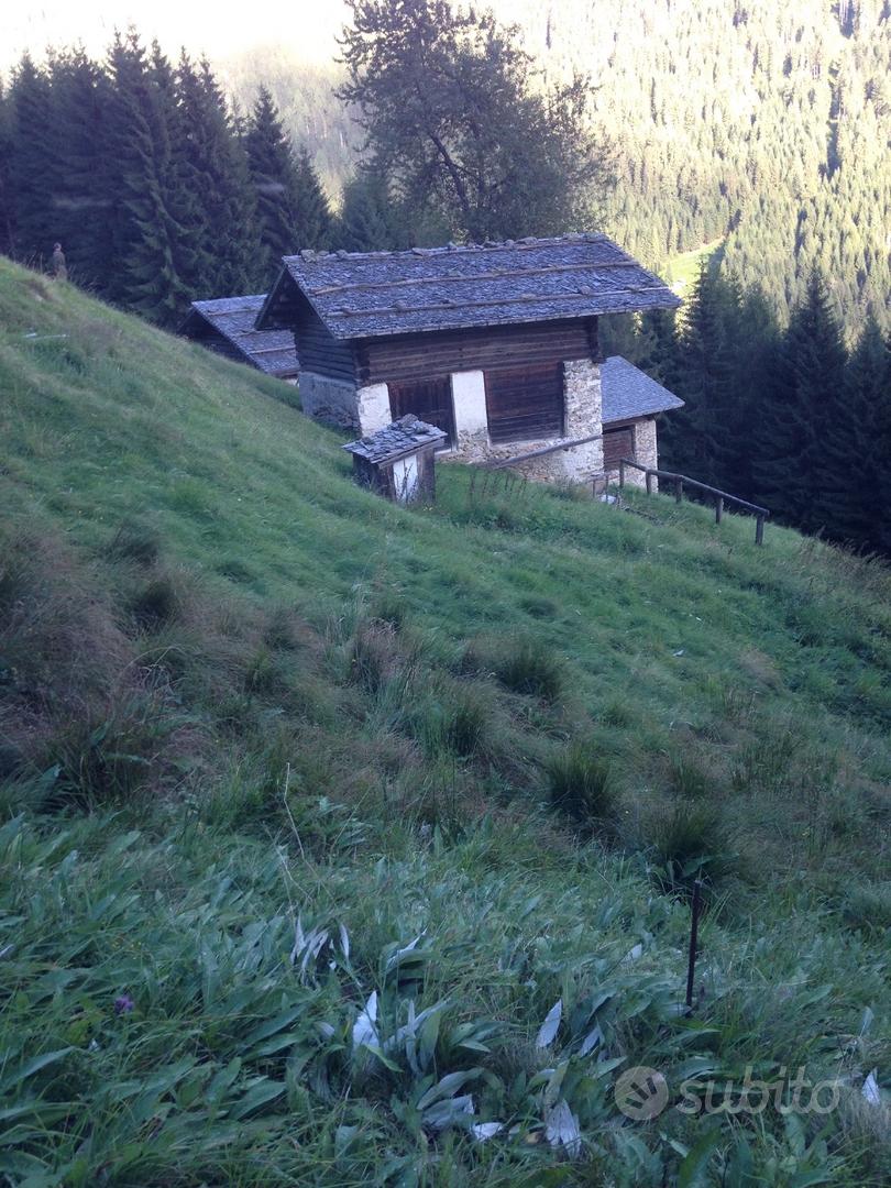 Rustico Maso Baita valle del Lozen - (Vanoi) - Altro