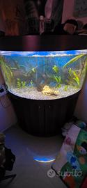 Acquario Dubai corner 90 completo 