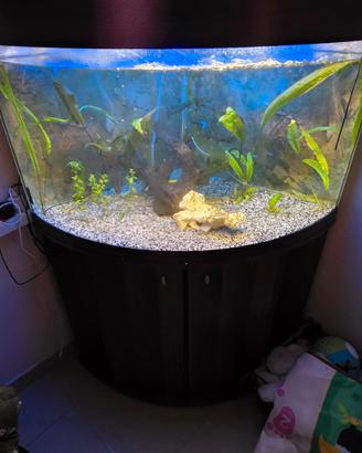 Acquario Dubai corner 90 completo 