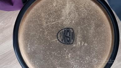 congas cp latin 