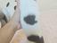 Immagine 3