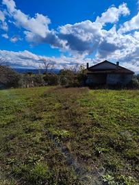 Uliveto più casolare di circa 50 metri più Verande