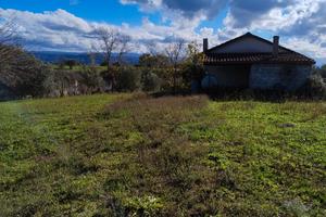 Uliveto più casolare di circa 50 metri più Verande