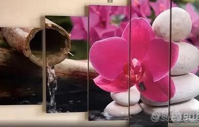 Quadro orchidea 5 pz