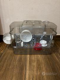 gabbietta per criceti