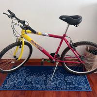 Bicicletta