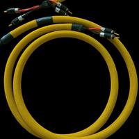 Neutral Cable Reference Potenza 2,5 metri