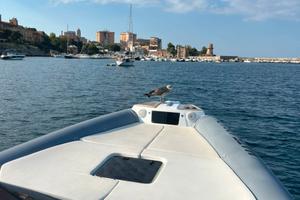 Magazzu mx11 coupe' anno 2024