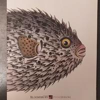 LIBRI ANTICHI E RARI. Asta 1 / 17 giugno 2014