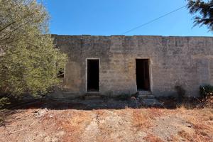 Rustico con terreno