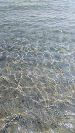 Appartamento a soli 50 m da mare con aria condizio