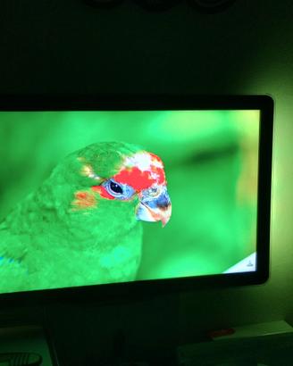 tv 32 pollici full hd