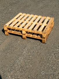 Pedane / Pallet in legno - Grandi quantità