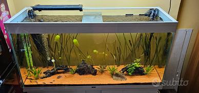 acquario ciano emotions pro natur led