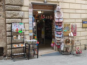 Attività Commerciale in Zona Turistica
