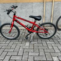 Bicicletta bambino 20 pollici