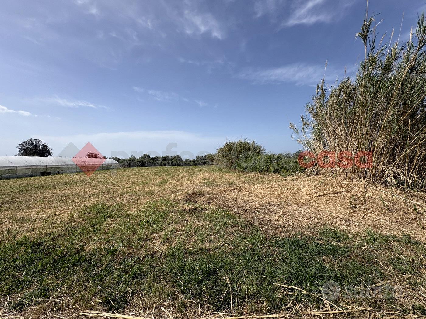 Terreno Agricolo Terracina [Cod. rif 3310884VCG] - Vista 3