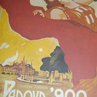 Libro Padova 900