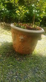 grande vaso cemento