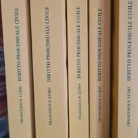 Diritto Processuale Civile XIV ed. Luiso 5 volumi