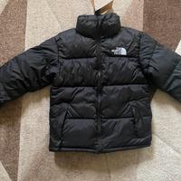 giubbotto the north face