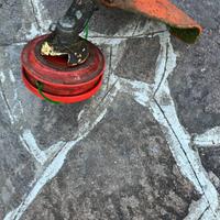 Decespugliatore a scoppio