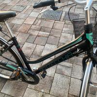 Bicicletta BOTTECCHIA