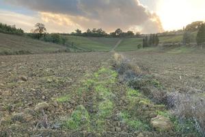 Azienda agricola 20Ha