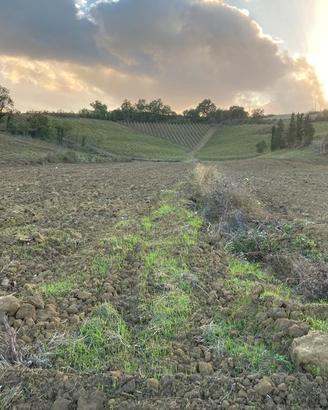 Azienda agricola 20Ha