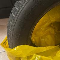 Coppia copertoni invernali