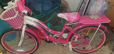 bici butterfly flower