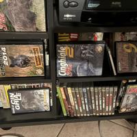 DVD caccia al Cinghiale