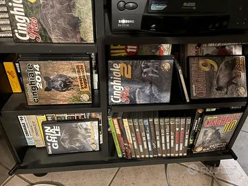 DVD caccia al Cinghiale