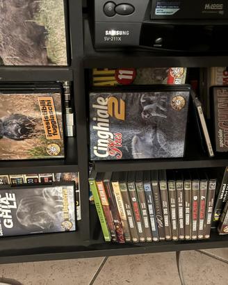 DVD caccia al Cinghiale