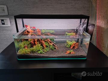 Nano Acquario 17L