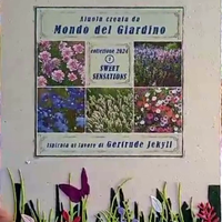 Semi di piante da giardino che fanno un'aiuola