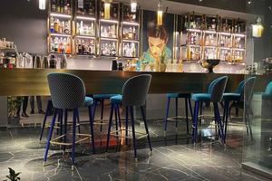 Rif.G233| pizzeria / pub chioggia