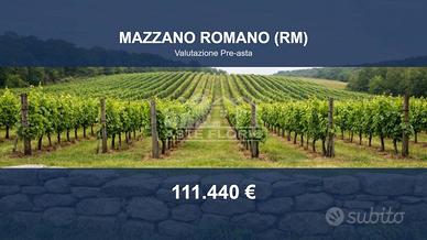 Immobile in asta di 41390 m² a Mazzano Romano
