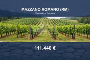 Immobile in asta di 41390 m² a Mazzano Romano