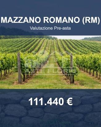 Immobile in asta di 41390 m² a Mazzano Romano