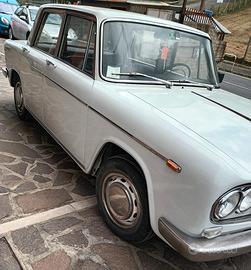 fulvia