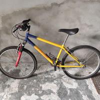 Bicicletta MTB Fulvia Pagliughi