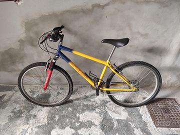 Bicicletta MTB Fulvia Pagliughi