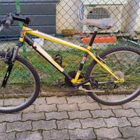 bici mtb