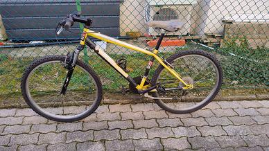 bici mtb