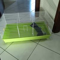 articoli per animali 