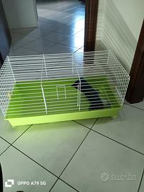 articoli per animali 